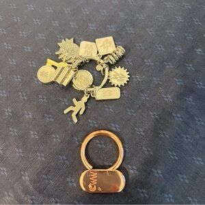 Lot Of 12 Weight Watcher Charms Along With Key Ring And Weight Watcher Key Chain